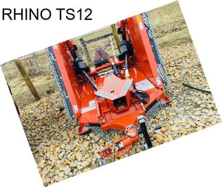 RHINO TS12