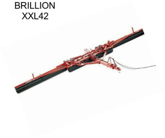 BRILLION XXL42