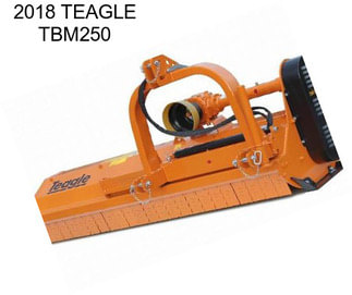 2018 TEAGLE TBM250