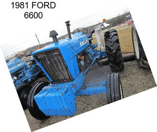 1981 FORD 6600
