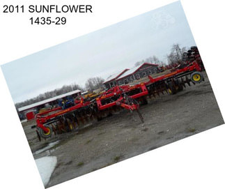 2011 SUNFLOWER 1435-29