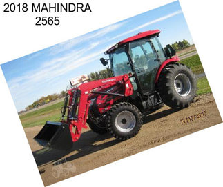 2018 MAHINDRA 2565