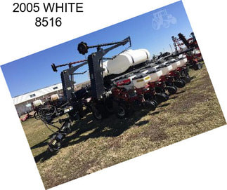 2005 WHITE 8516