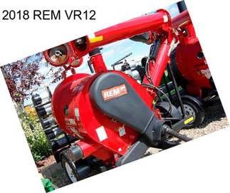 2018 REM VR12