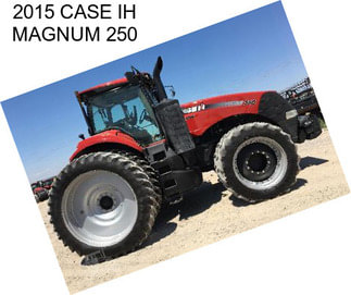 2015 CASE IH MAGNUM 250