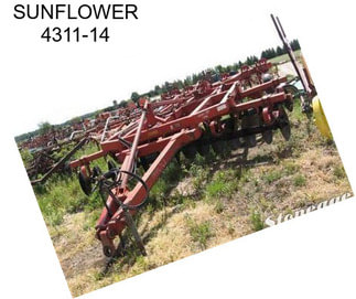 SUNFLOWER 4311-14