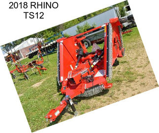 2018 RHINO TS12