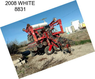 2008 WHITE 8831