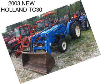 2003 NEW HOLLAND TC30