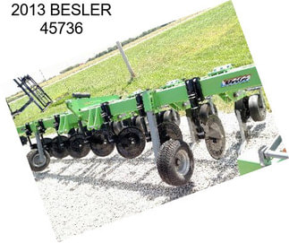 2013 BESLER 45736