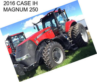2016 CASE IH MAGNUM 250