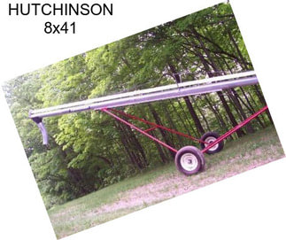 HUTCHINSON 8x41