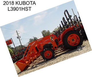 2018 KUBOTA L3901HST