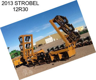 2013 STROBEL 12R30