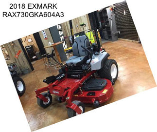 2018 EXMARK RAX730GKA604A3