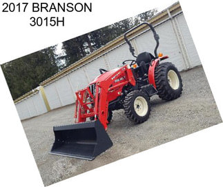 2017 BRANSON 3015H