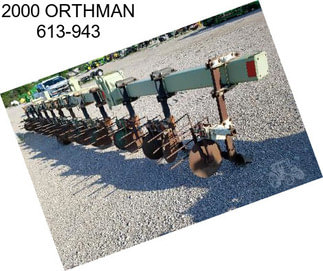 2000 ORTHMAN 613-943