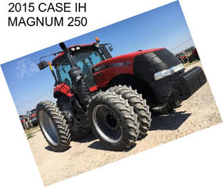 2015 CASE IH MAGNUM 250