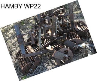 HAMBY WP22