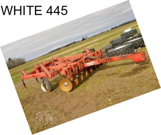 WHITE 445