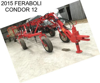 2015 FERABOLI CONDOR 12