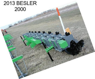 2013 BESLER 2000