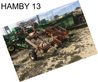 HAMBY 13