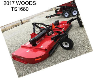 2017 WOODS TS1680