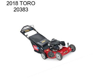 2018 TORO 20383