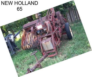 NEW HOLLAND 65