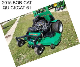 2015 BOB-CAT QUICKCAT 61