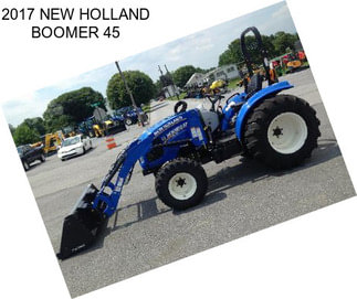 2017 NEW HOLLAND BOOMER 45