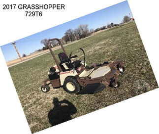 2017 GRASSHOPPER 729T6