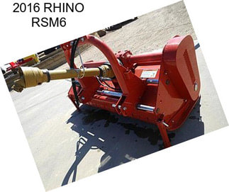 2016 RHINO RSM6