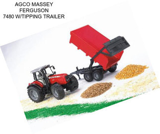 AGCO MASSEY FERGUSON 7480 W/TIPPING TRAILER