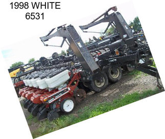 1998 WHITE 6531
