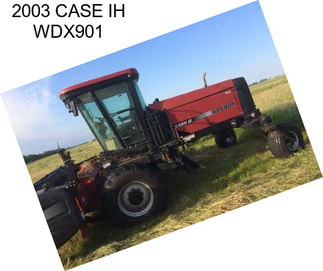 2003 CASE IH WDX901