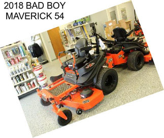 2018 BAD BOY MAVERICK 54
