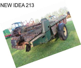 NEW IDEA 213