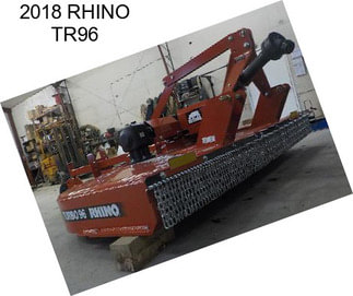 2018 RHINO TR96