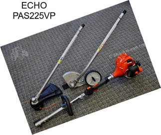 ECHO PAS225VP