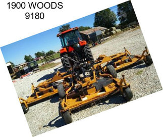 1900 WOODS 9180