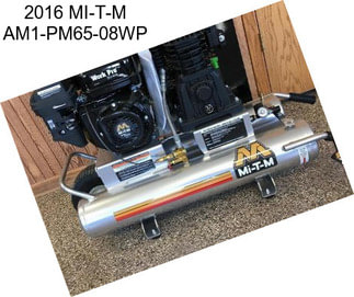 2016 MI-T-M AM1-PM65-08WP