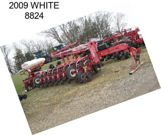 2009 WHITE 8824