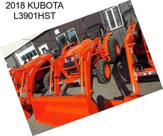 2018 KUBOTA L3901HST