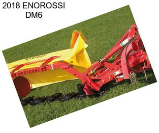 2018 ENOROSSI DM6