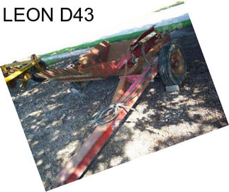 LEON D43