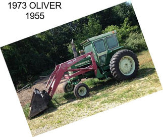 1973 OLIVER 1955