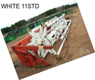 WHITE 11STD