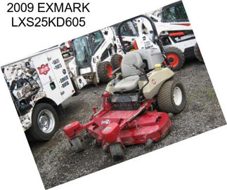 2009 EXMARK LXS25KD605